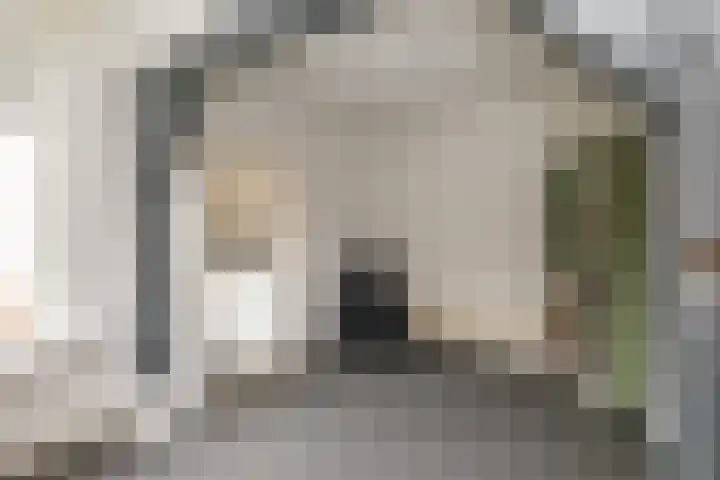 Emmalaan 10 Genemuiden thumbnail 11