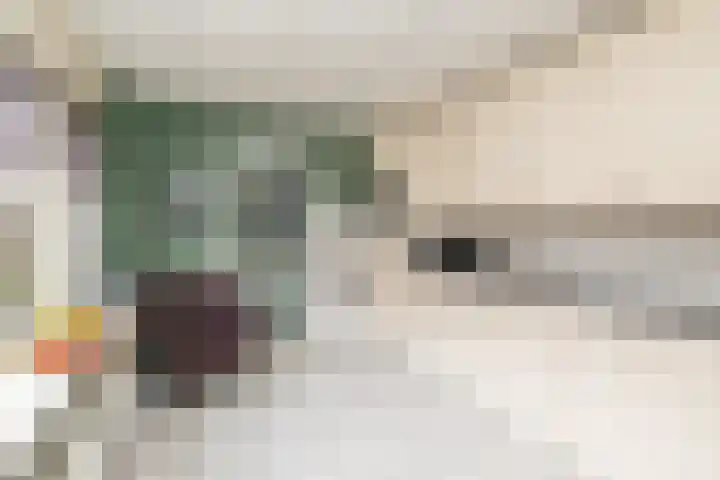 Emmalaan 10 Genemuiden thumbnail 14