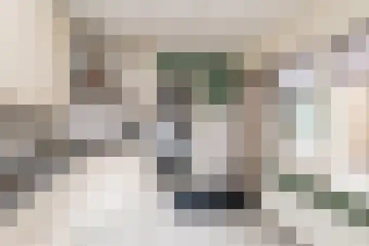 Emmalaan 10 Genemuiden thumbnail 15