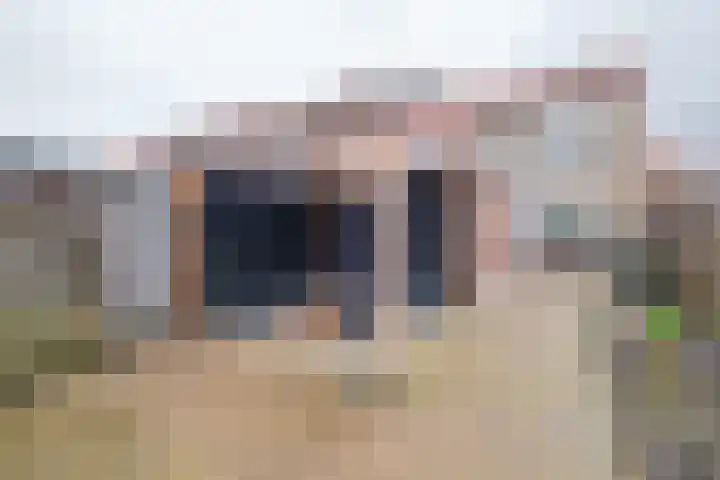 Emmalaan 10 Genemuiden thumbnail 25