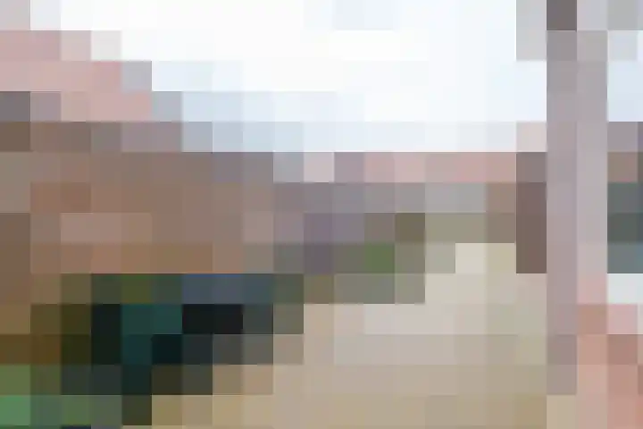 Emmalaan 10 Genemuiden thumbnail 26