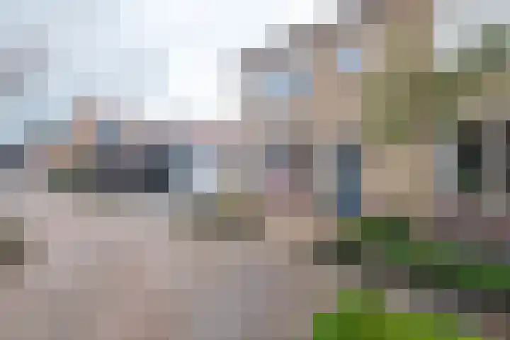 Emmalaan 10 Genemuiden thumbnail 28