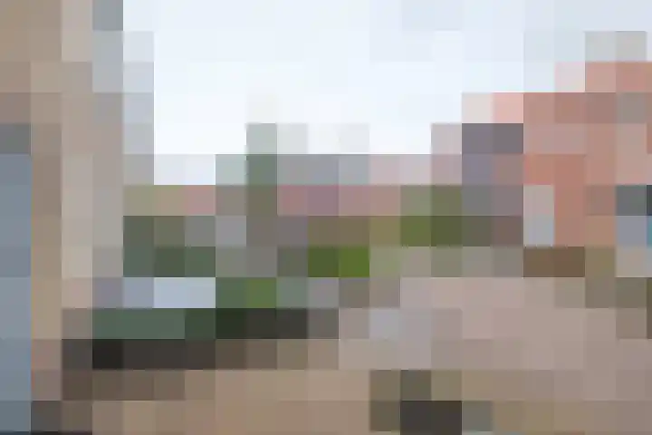 Emmalaan 10 Genemuiden thumbnail 30