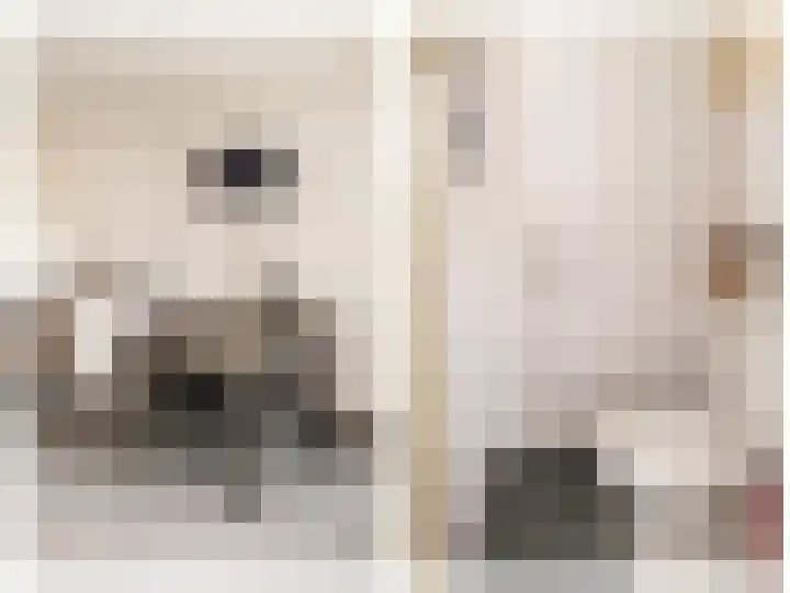 Emmalaan 10 Genemuiden thumbnail 7