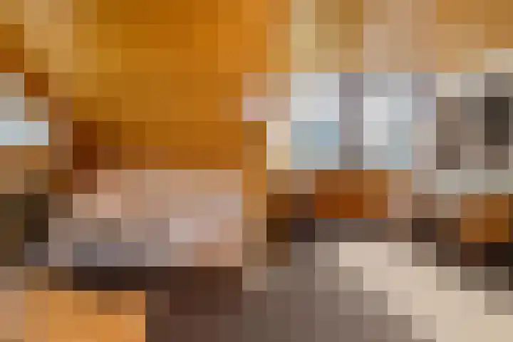 Emmalaan 11 Kaag thumbnail 24