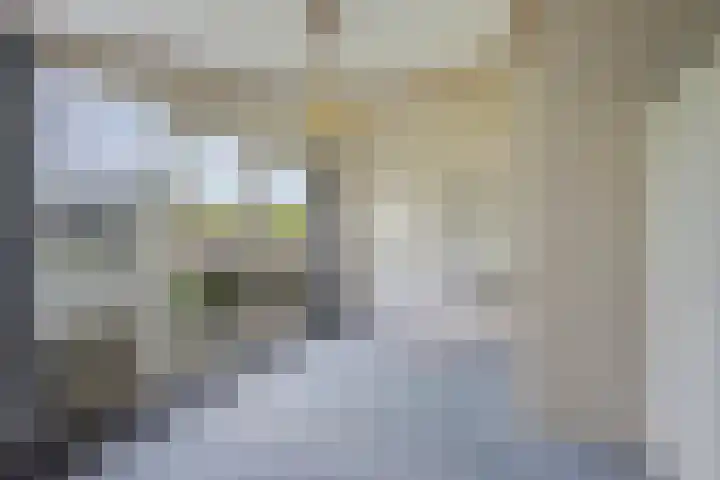 Emmalaan 21 Emmen thumbnail 14