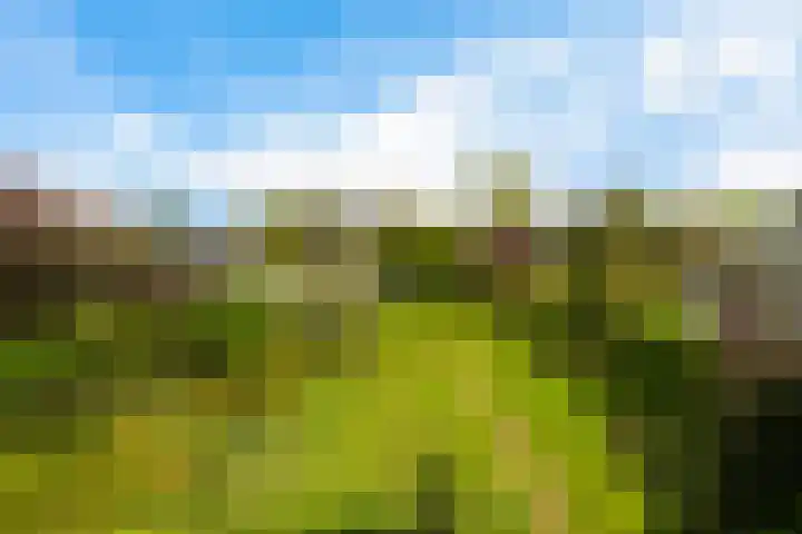 Emmalaan 21 Emmen thumbnail 16