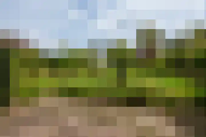 Emmalaan 21 Emmen thumbnail 22