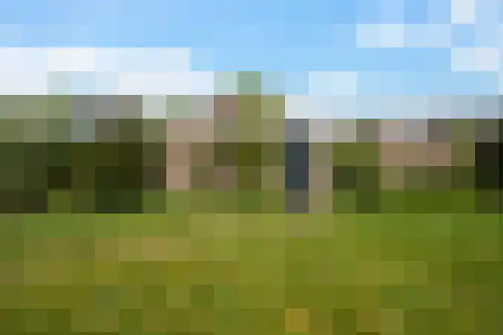 Emmalaan 21 Emmen thumbnail 23