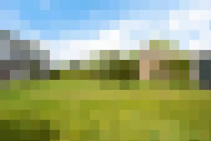 Emmalaan 21 Emmen thumbnail 24