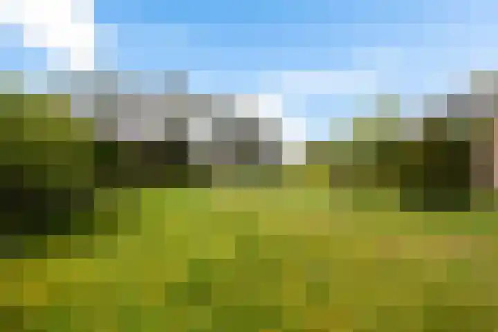 Emmalaan 21 Emmen thumbnail 25