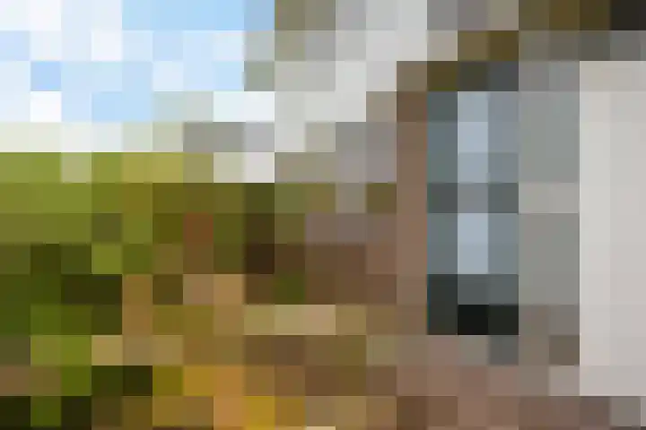 Emmalaan 21 Emmen thumbnail 26