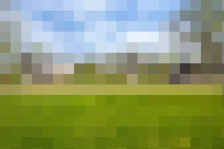 Emmalaan 21 Emmen thumbnail 27
