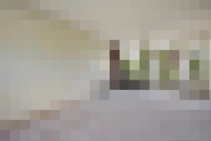 Emmalaan 21 Emmen thumbnail 4