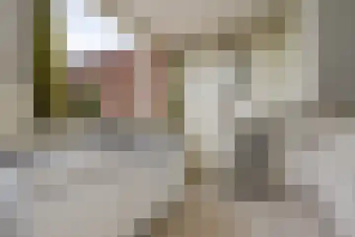 Emmalaan 21 Emmen thumbnail 9