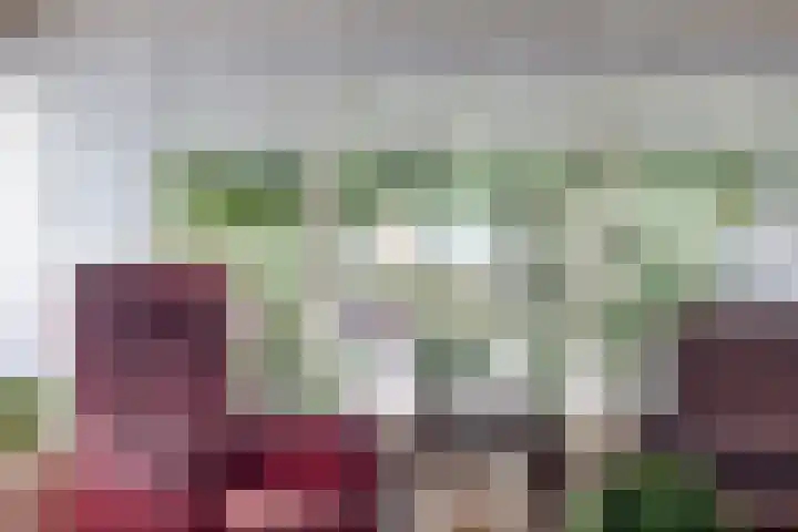 Emmalaan 27 Bennekom thumbnail 20