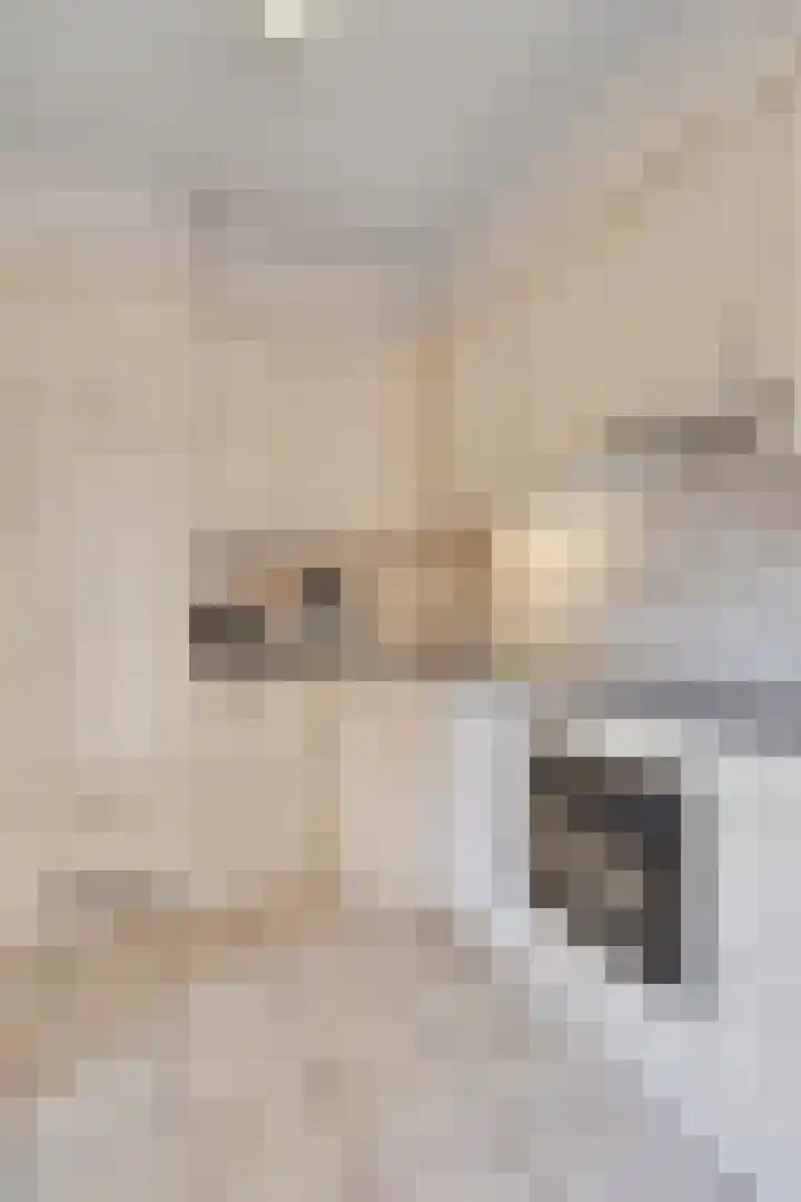 Emmalaan 27 Bennekom thumbnail 26