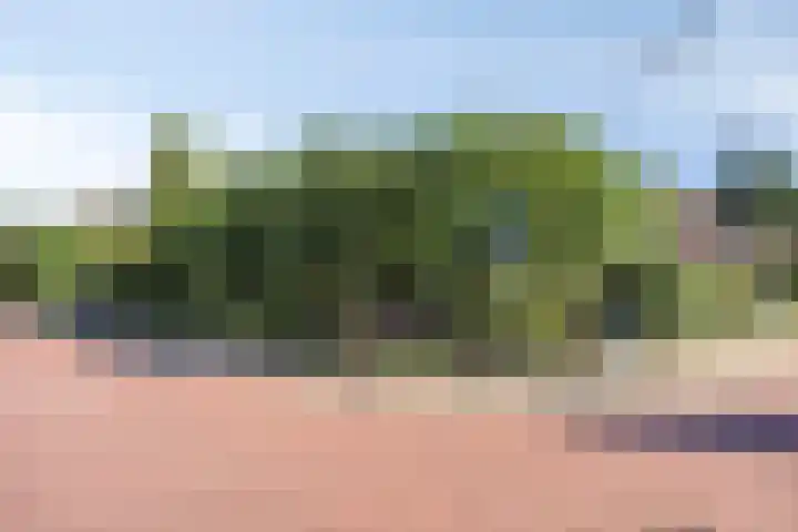 Emmalaan 27 Bennekom thumbnail 4