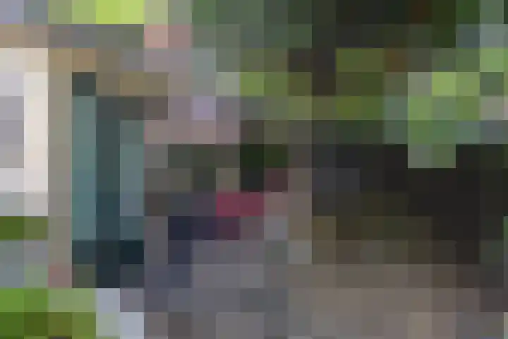 Emmalaan 27 Bennekom thumbnail 46