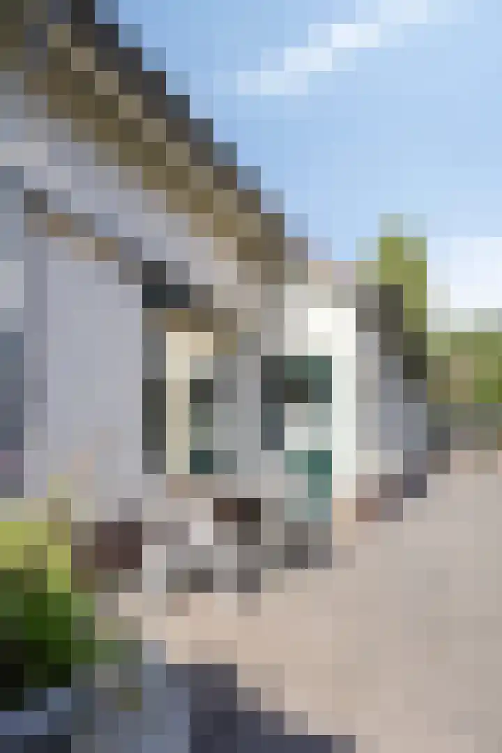 Emmalaan 27 Bennekom thumbnail 55