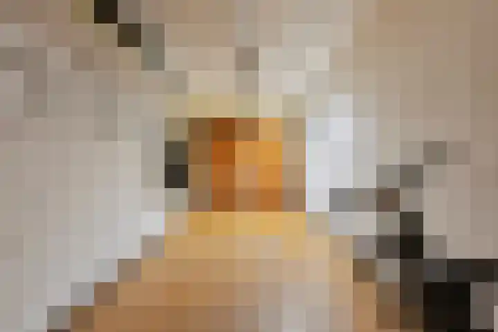 Emmalaan 28 Schijndel thumbnail 10