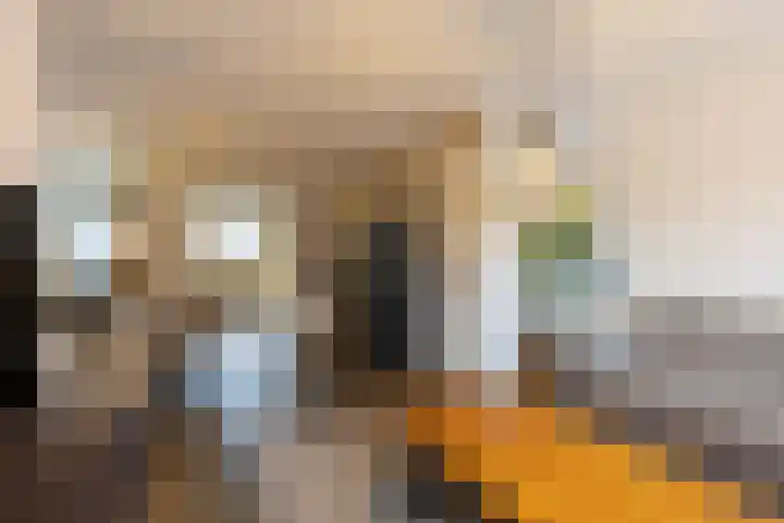Emmalaan 28 Schijndel thumbnail 16
