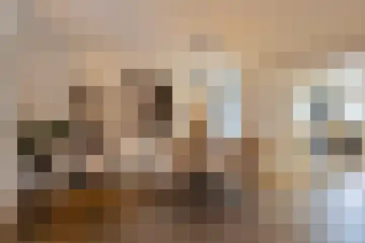 Emmalaan 28 Schijndel thumbnail 17