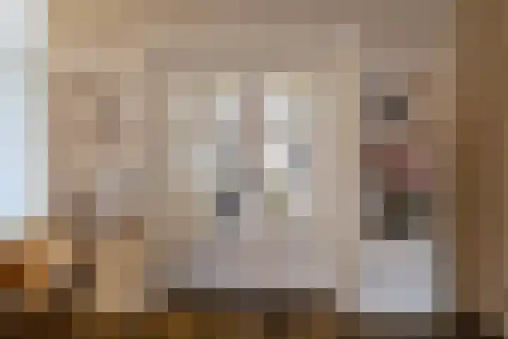 Emmalaan 28 Schijndel thumbnail 22