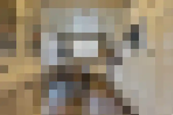 Emmalaan 28 Schijndel thumbnail 23