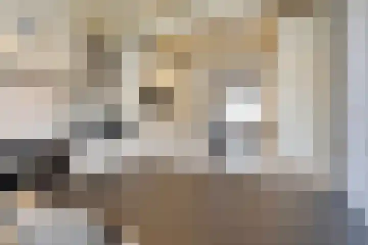 Emmalaan 28 Schijndel thumbnail 25