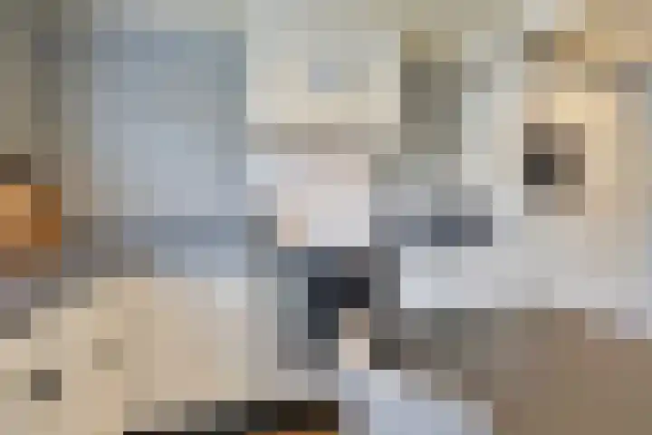 Emmalaan 28 Schijndel thumbnail 26