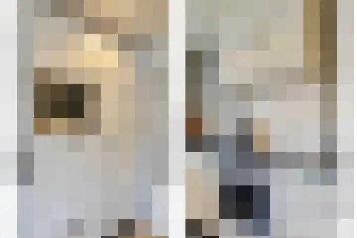 Emmalaan 28 Schijndel thumbnail 27