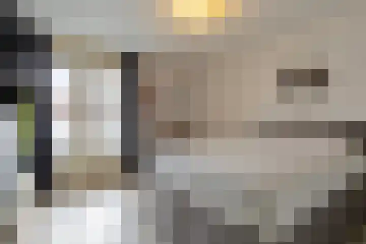 Emmalaan 28 Schijndel thumbnail 33