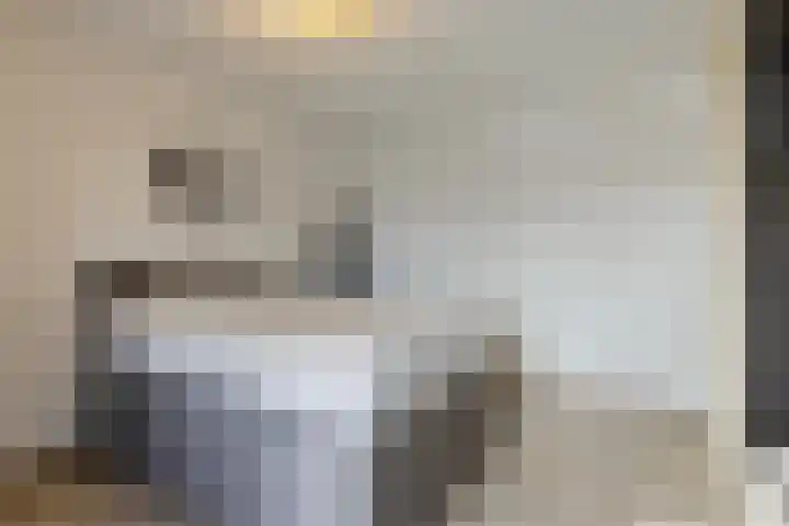 Emmalaan 28 Schijndel thumbnail 34
