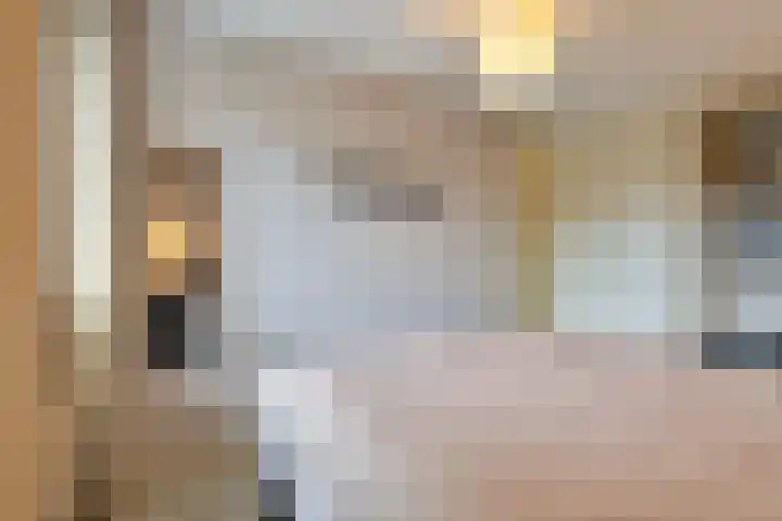 Emmalaan 28 Schijndel thumbnail 39