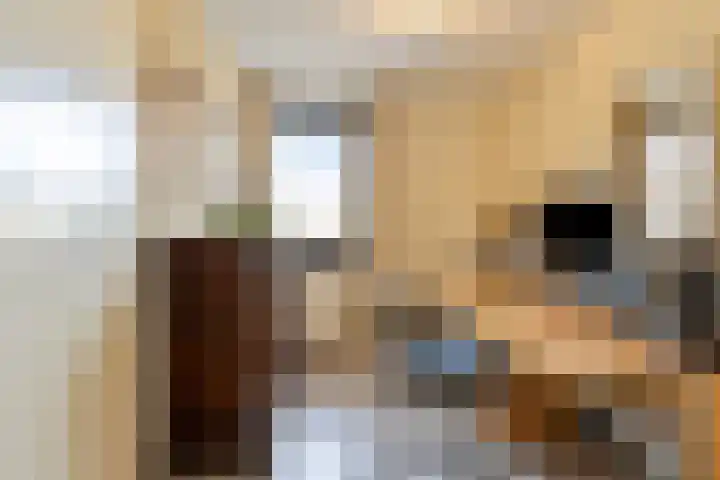 Emmalaan 28 Schijndel thumbnail 40