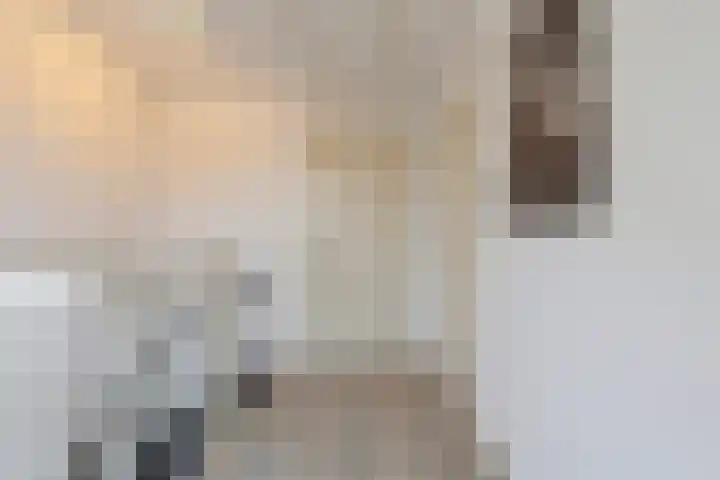 Emmalaan 28 Schijndel thumbnail 45