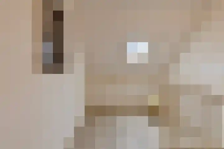 Emmalaan 28 Schijndel thumbnail 46