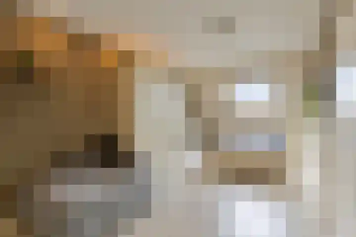 Emmalaan 28 Schijndel thumbnail 47