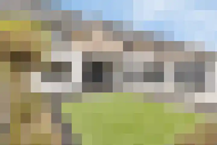 Emmalaan 28 Schijndel thumbnail 53