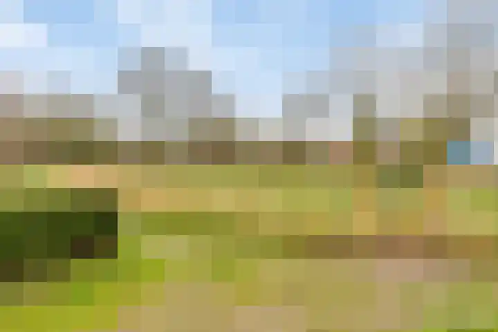 Emmalaan 28 Schijndel thumbnail 59