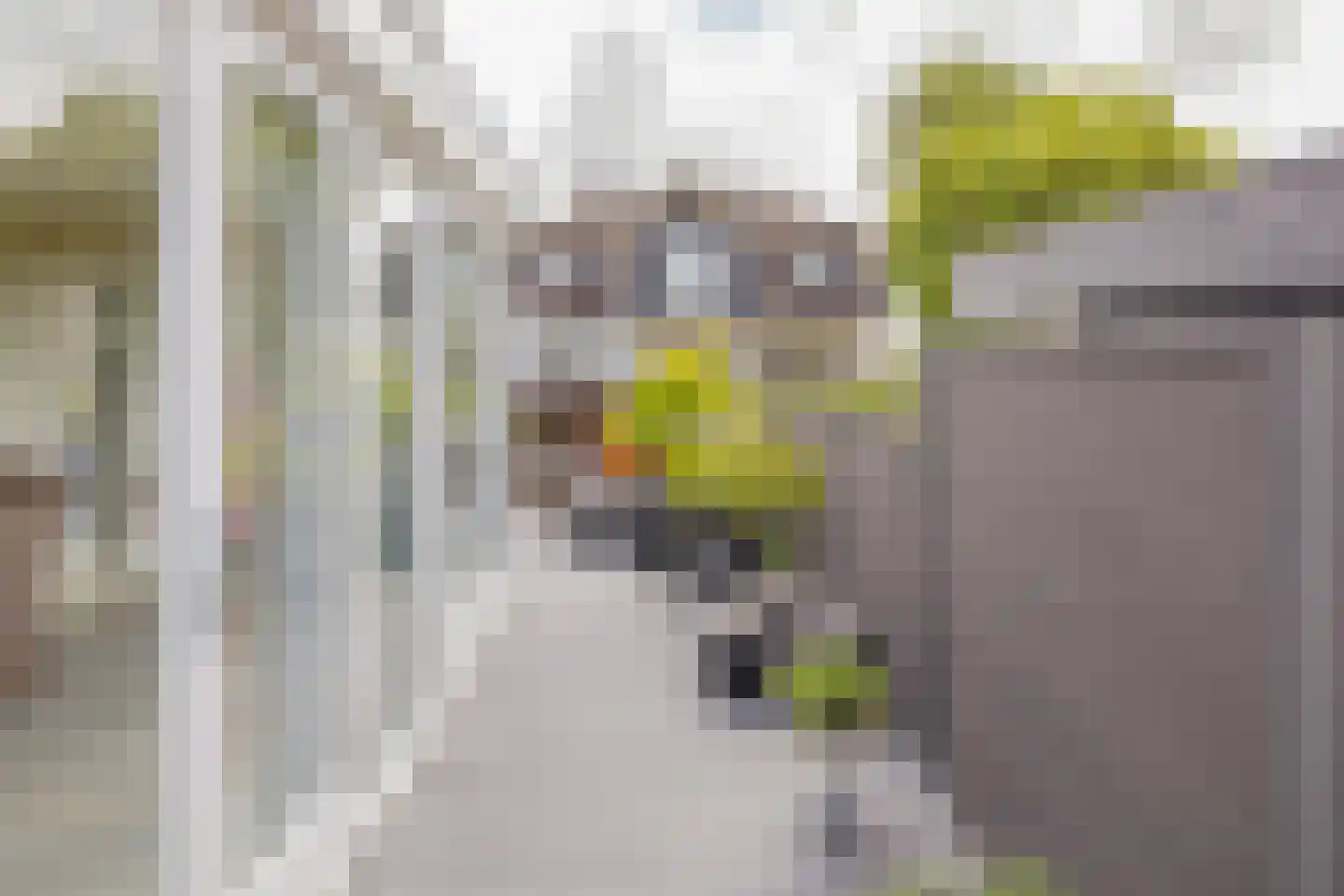 Emmalaan 3 Kaag thumbnail 17