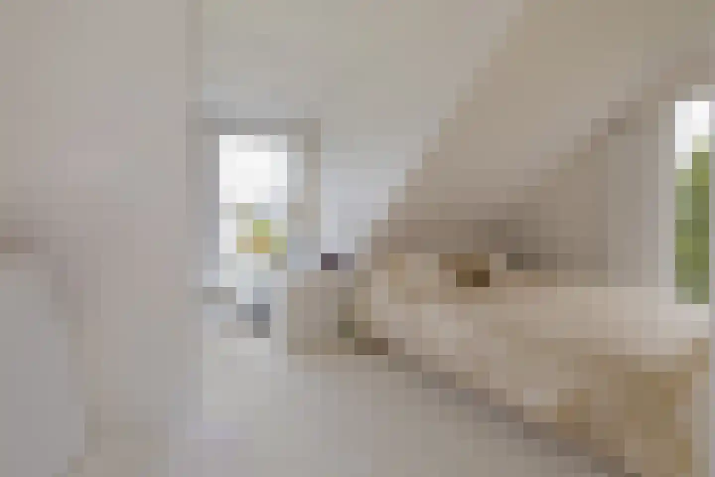 Emmalaan 3 Kaag thumbnail 30