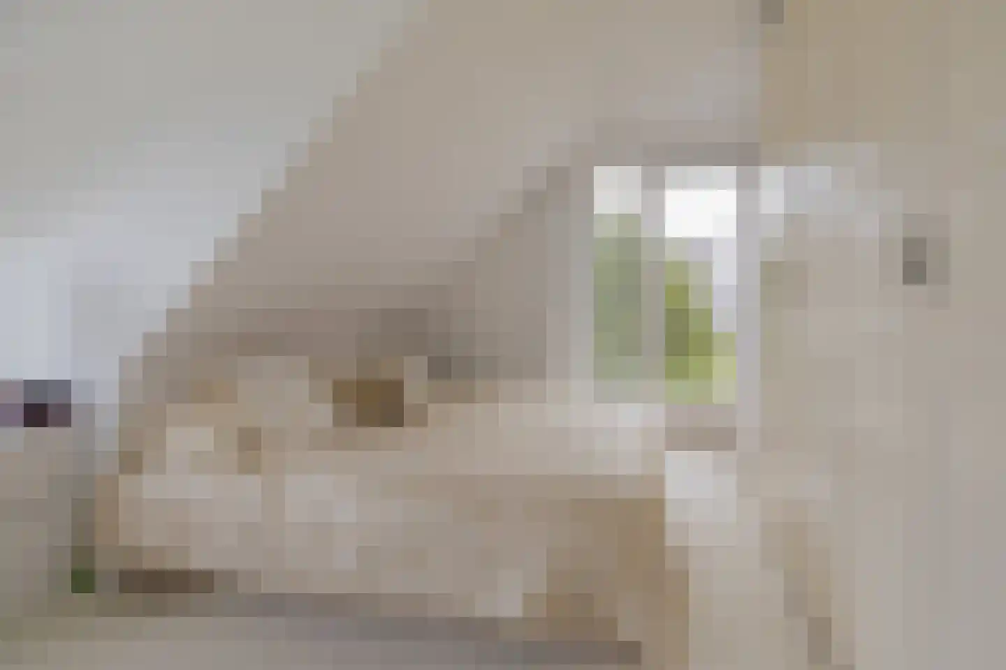 Emmalaan 3 Kaag thumbnail 31