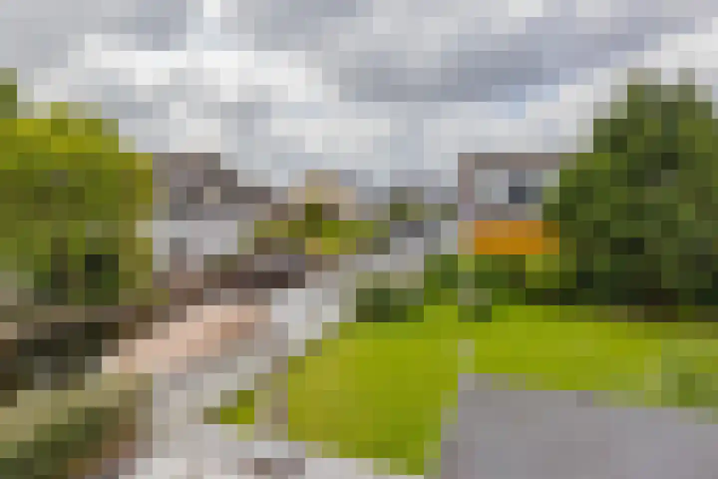 Emmalaan 3 Kaag thumbnail 34