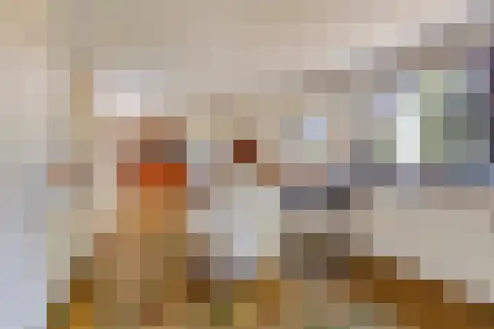 Emmalaan 3 Wognum thumbnail 23