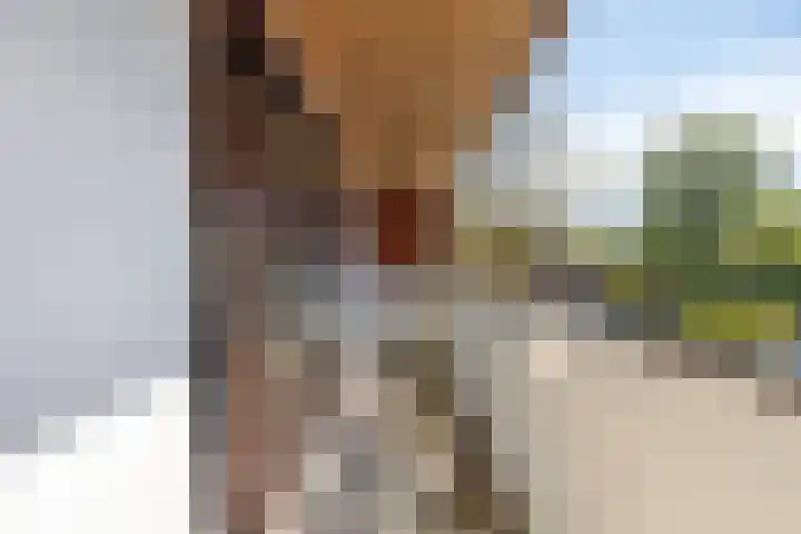 Emmalaan 3 Wognum thumbnail 33