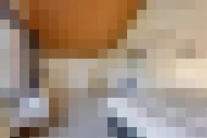Emmalaan 3 Wognum thumbnail 37