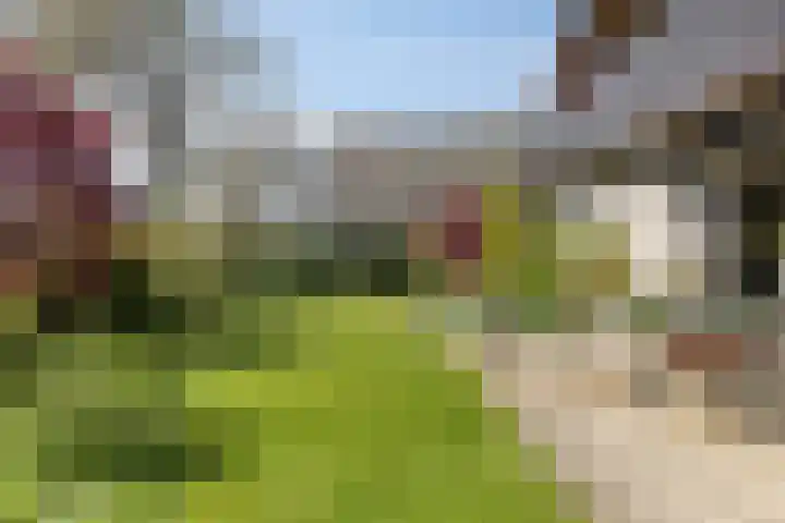 Emmalaan 3 Wognum thumbnail 42