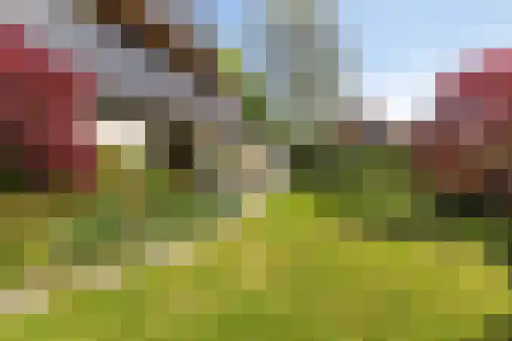 Emmalaan 3 Wognum thumbnail 43